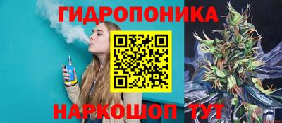 a pvp Ирбит
