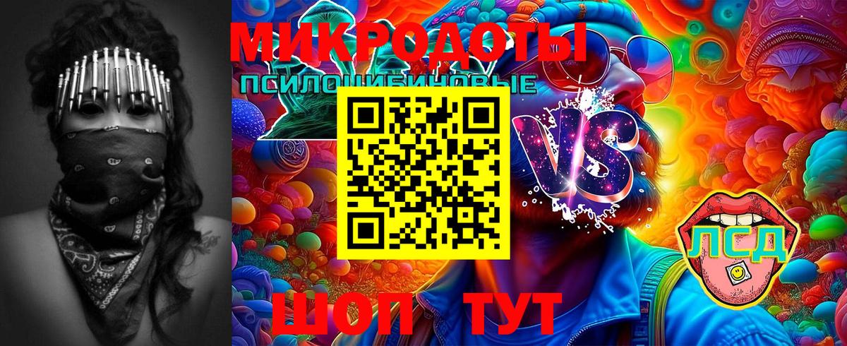 Псилоцибиновые грибы Psilocybe  Вход с VPN  Кировск  Псилоцибиновые грибы GOLDEN TEACHER 
